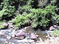 28 - Jardin des eaux 014